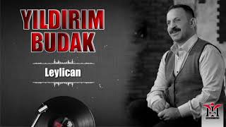 Yıldırım Budak - Leylican © 2020