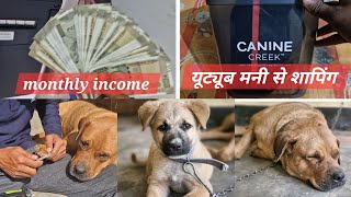 इतना पैसा 😇 || my monthly earning from youtube || youtube money 💰 sopping for Alexa ❣️||#video