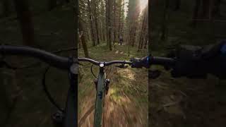 Slippery Spring Conditions Full Video