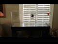 Channel intro, 75 Gallon Clear for Life aquarium and R&J Stand Initial Impressions Channel intro, 75 Gallon Clear for Life aquarium and R&J Stand Initial Impressions