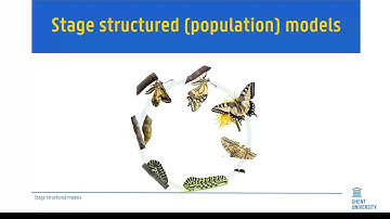 Ecological and Environmental modeling: stage structured population models