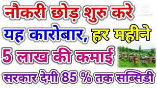 नौकरी छोड़े शुरू करें यह कारोबार हर महीने 5 लाख की कमाई सरकार देकर 85% तक सब्सिडी