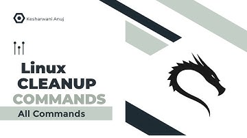 #1 Linux System Cleanup Commands  | Partial Packages | apt cache | Unused Packages |