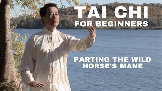 Tai Chi for Beginners - Increase Balance & Flexibility | Parting the Wild Horse’s Mane screenshot 4
