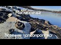 Москворечье. Весенняя палеоразведка. Окаменелости.