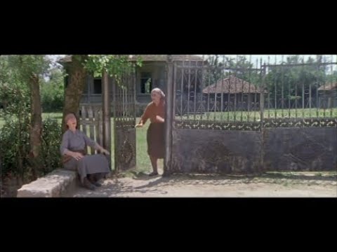 \"იმერული ესკიზები\" - დეპეშა (IMERULI ESKIZEBI)