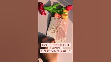 XƯỞNG IN THIỆP CƯỚI TẠI BẮC NINH QPRO – Mẫu thiệp hồng pastel nơ voan 3D QMS-207