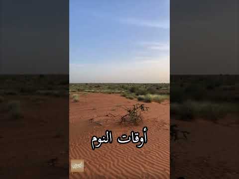 أوقات النوم
