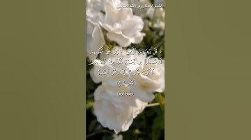 سورة الزمر الآية ٥٣ الشيخ مشاري العفاسي