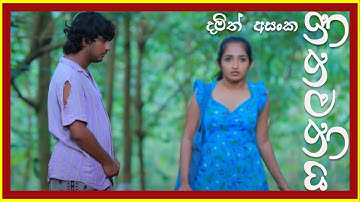 Hithawathiya (හිතවතිය​) - Damith Asanka|Lyric Video|PARAPURA tv