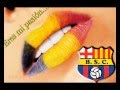 Ídolo - La canción nueva de la SUR OSCURA
