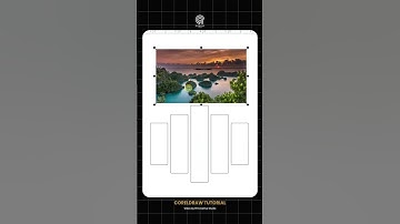 CorelDraw Tips | Use Power Clip #coreldraw #begginers  #graphicdesigner