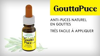 GouttaPuce - anti-puce naturel en gouttes pour chiens et chats - Ferme de Beaumont