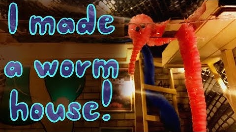 Making A Worm On A String House | Mini Shelf House For Woerms