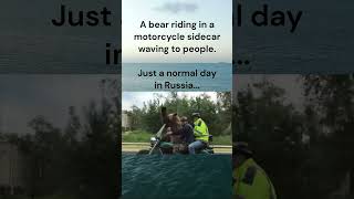 A bear riding in a motorcycle sidecar waving to people.Just a normal day in Russia funny