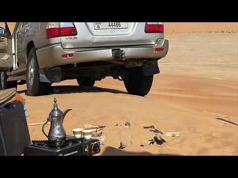 كامل الزين عيضه المنهالي بطيء