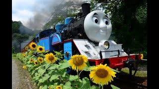 トーマス花景色（トリミング版）/ 機関車トーマス
