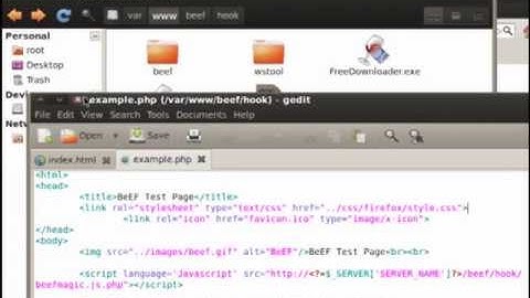 BeEF XSS file dropping and Metasploit - by [EyesOpen]