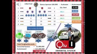 Qiu9 Immortal System