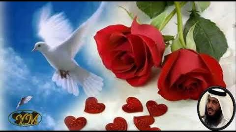 100 Surat Aladiyat أحمد بن علي العجمي سورة العاديات