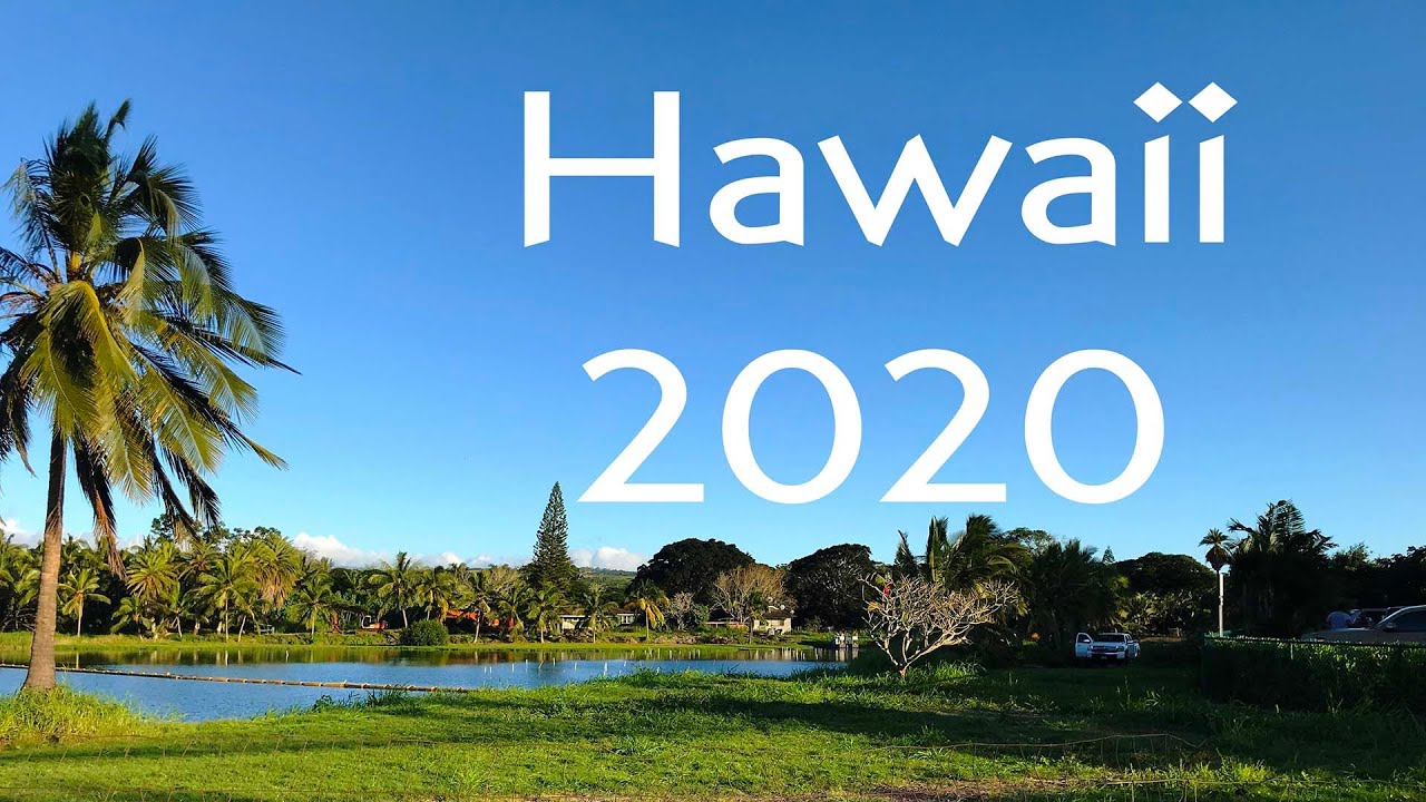 2020 Hi 2020 Hi