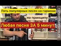 Популярные песни на гармони по принципу ЛЮБАЯ ПЕСНЯ НА ГАРМОНИ ЗА 5 минут 😉✊🏻