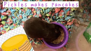 Pickles makes pancakes!!!