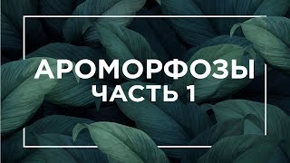 Ароморфозы растений и животных | ЕГЭ Биология | Даниил Дарвин Ароморфозы растений и животных | ЕГЭ Биология | Даниил Дарвин