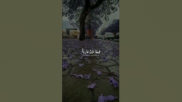 ارح قلبك وسمعك بتلاوة عطره 🤍🤍