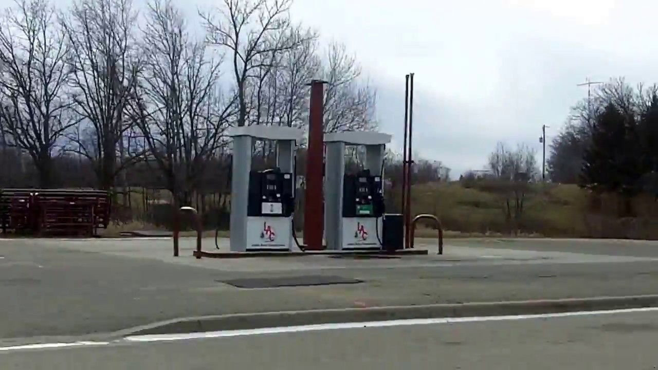 wuff movie Wolf Lake Minnesota