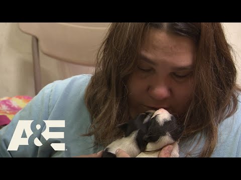 Hoarders: Animal Rescue | A&E