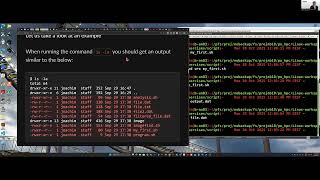 Lecture 8: Scripting (Linux, Bash)