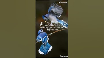 قران كريم بصوت خاشع اكتب يا رب العالمين للهم صلى على محمد وآل محمد