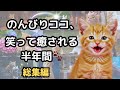のんびりココ、笑って癒される半年間🐾　終わりじゃない。ここから、またはじまる。