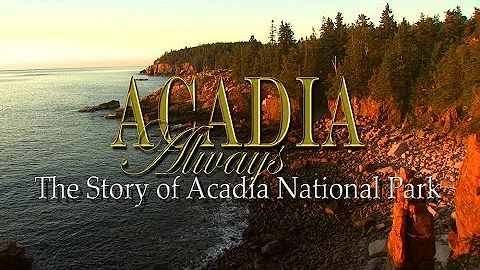 Quali attività divertenti puoi fare al parco nazionale di Acadia?