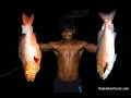 Мальдивы. Ночь на Острове, Подводный Мир или Зачем Русские Покупают Остров на Мальдивах  Серия #6