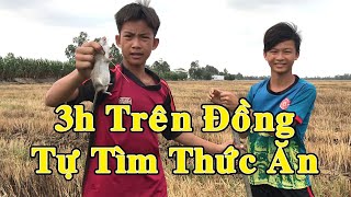 3h Tự Tìm Thức Ăn Trên Đồng Và Cái Kết