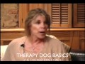 CHICAGO DOG TRAINING: THE BASIC OF THERAPY DOGS CHICAGO DOG TRAINING: THE BASIC OF THERAPY DOGS