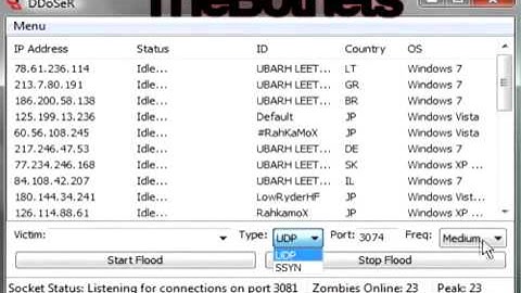 Free DDoSer and Bots and Download link