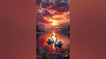 تلاوة مباركة بصوت #ياسر_الدوسري #yasseraldossary #اكسبلور #المصحف #duet #دويتو