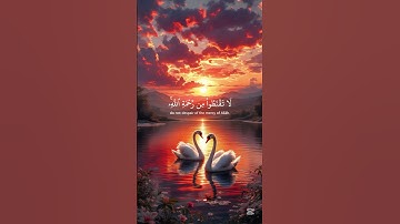 تلاوة مباركة بصوت #ياسر_الدوسري  #yasseraldossary #اكسبلور #المصحف #duet #دويتو