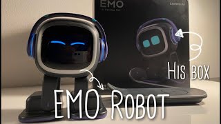 Unboxing the Cutest AI Robot in the World!!  the birth of the Dr.Emo (pt.1) [Dr. EMO]