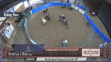Big Sky Ranch Sorting Saddle Series #4 - OPEN - Round #1 - Ride #1