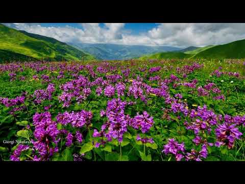 ეს გაზაფხულიც მოვიდა(Вот и Пришла Весна)