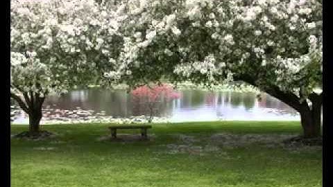 شيخ أبو بكر الشاطري سورة الأنفال Qari shatri surah Anfal old voice