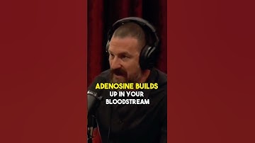 Neuroscientist: Proper way to take caffeine | Andrew Huber-man #shorts