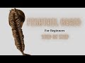 How to get fishtail braid (tutorial). Fishtail for beginners.