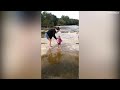FUNNY PEOPLE FALLING INTO THE WATER FAILS COMPILATION