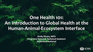 One Health 101: An Introduction to Global Health at the Human-Animal-Ecosystem Interface