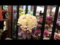 胡蝶蘭光触媒 造花 お供え 開店祝い